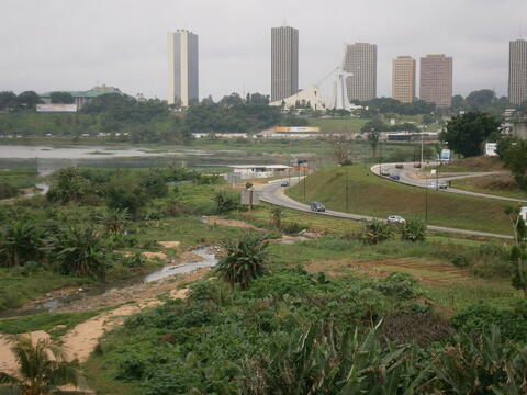 Ginger Group : IVORY COAST