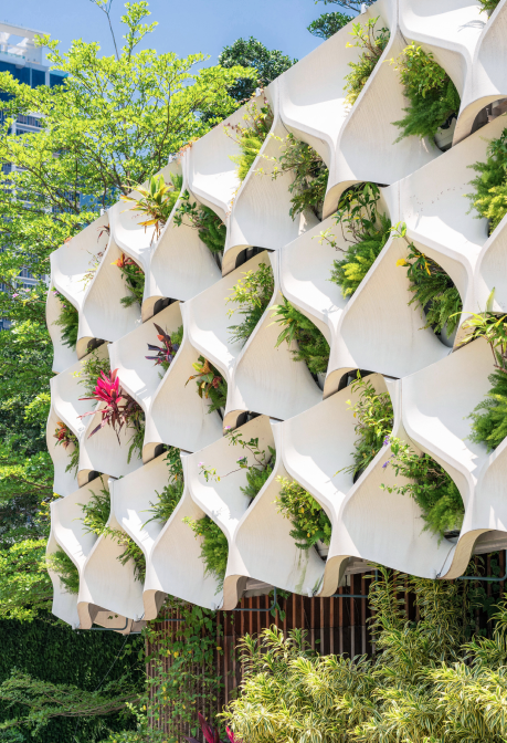 Bâtiment verdure